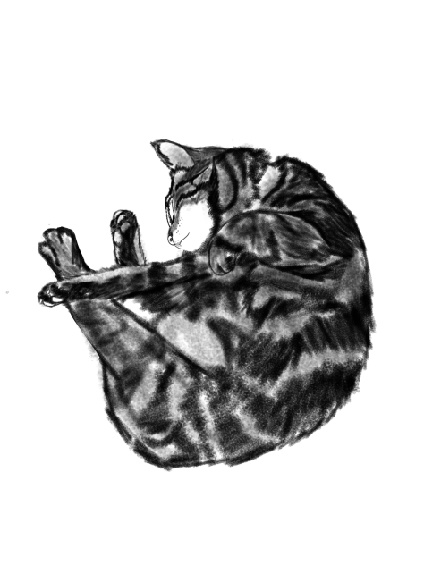 Fat Cat Ibispaint