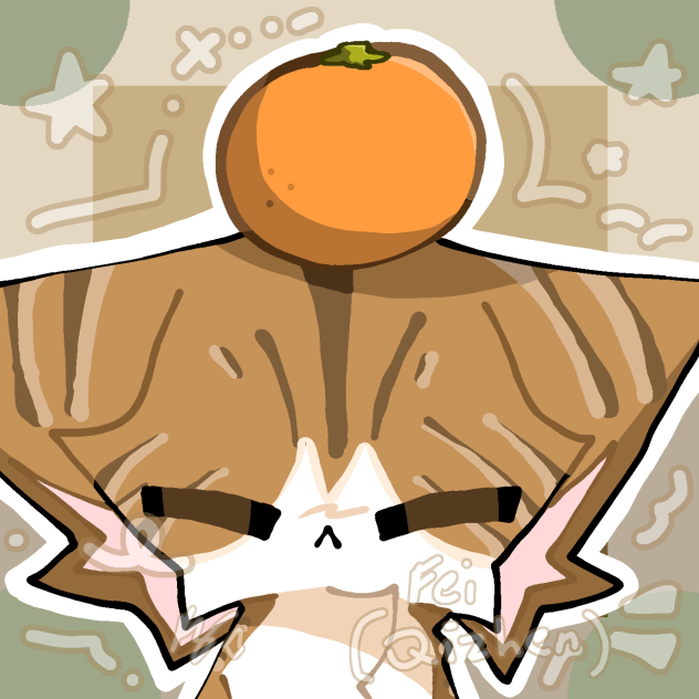 cat and orange🍊