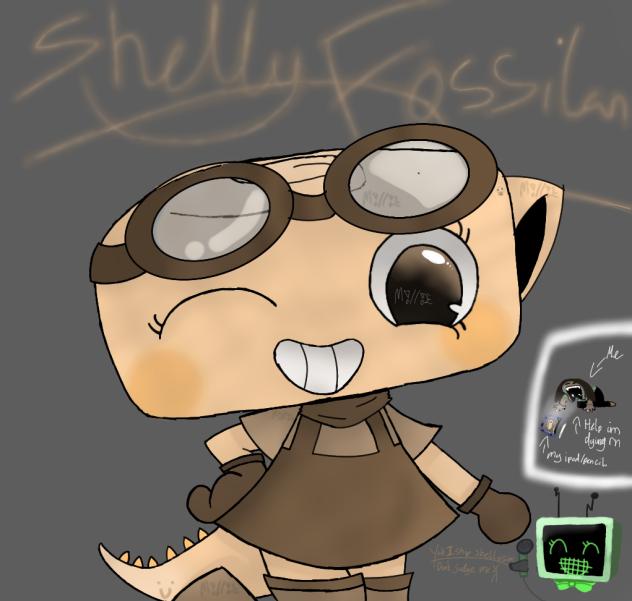 Re designing Shelly C=
