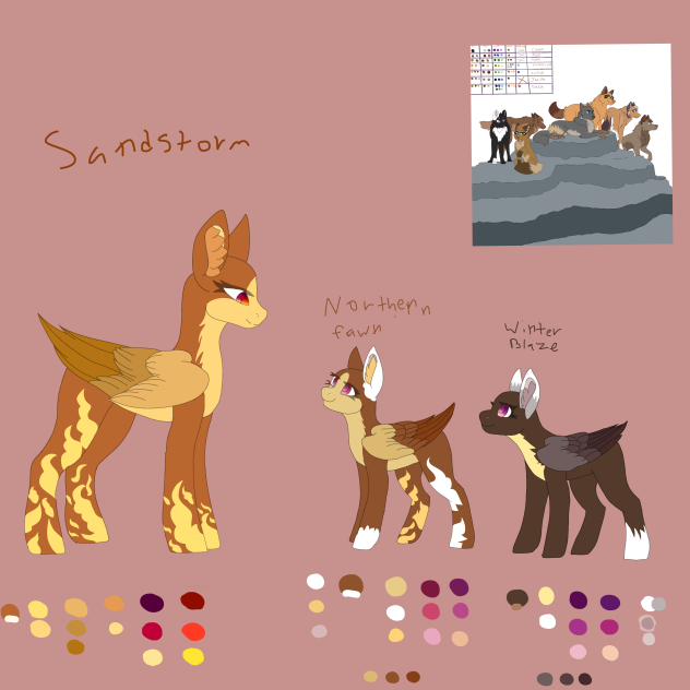 Sandstorm and conor