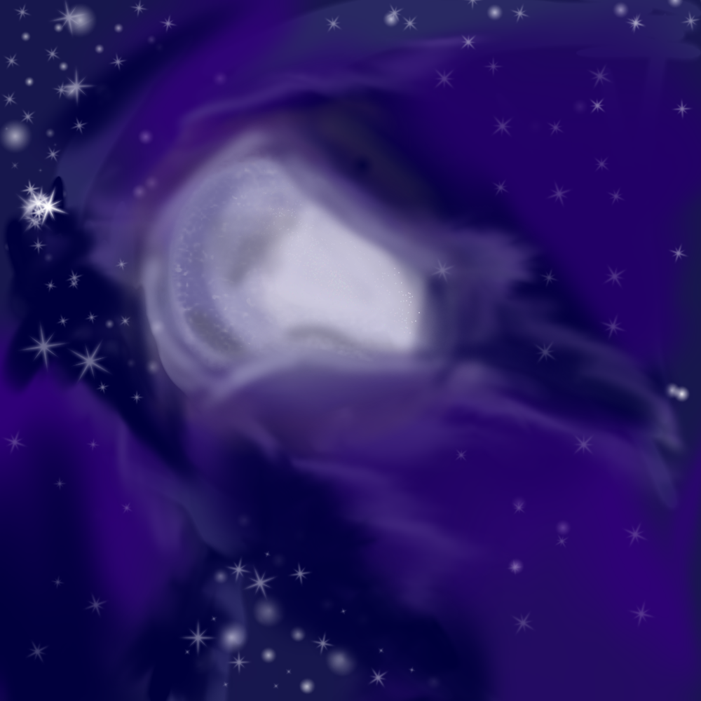 night moon - ibisPaint