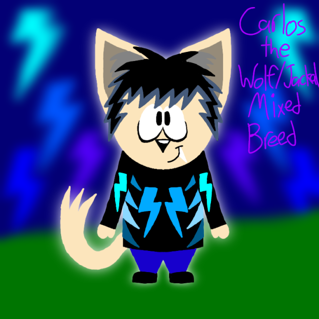 Carlos the Wolf-Jackal Mixed Breed