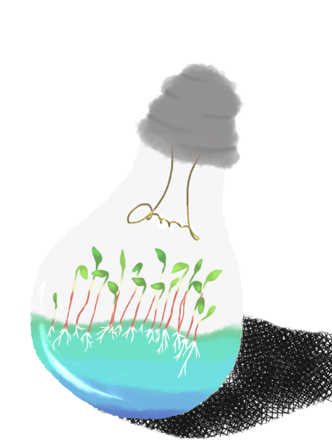 苔と電球