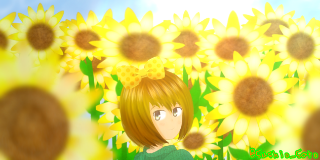 Sunflower field