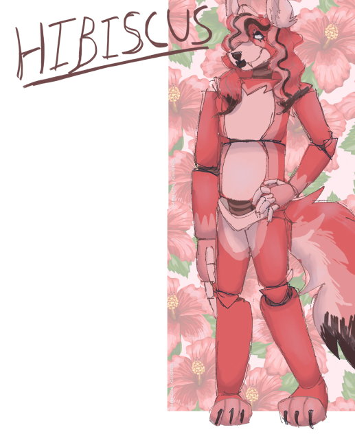 Hibiscus