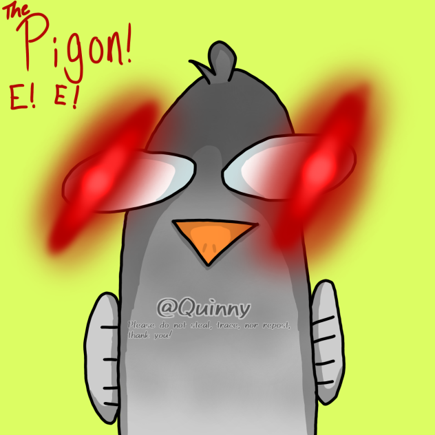 The pigeon 🐦