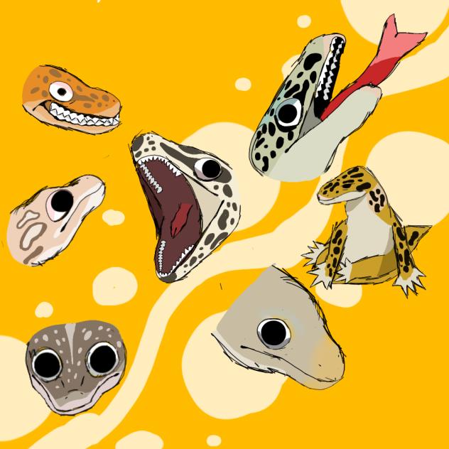 Leopard Gecko expressions