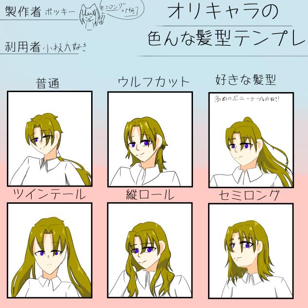 オリキャラのいろんな髪型テンプレやらせてもらいました。