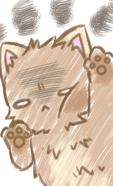 不機嫌ねこちゃん