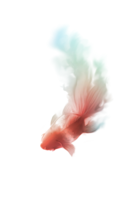 金魚