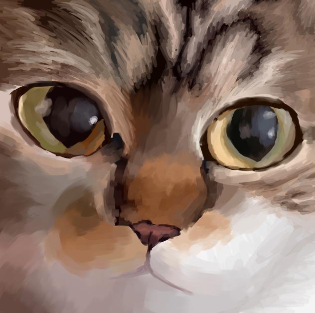 blank stare