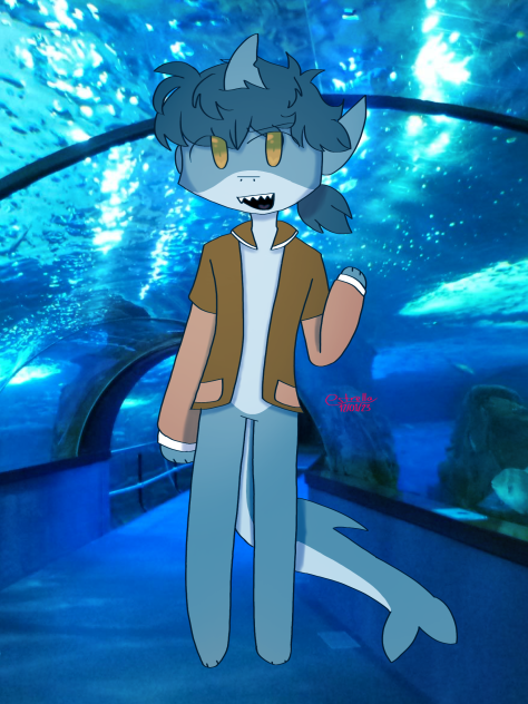 Sharky boi