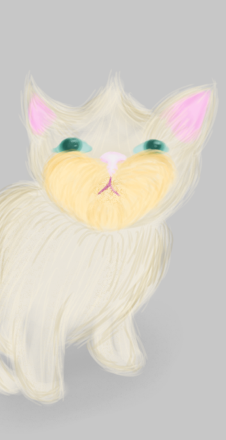 cat