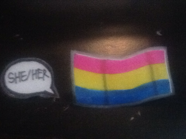 Pride pins