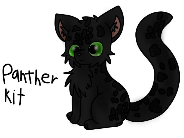 Warrior Cats. PantherKit.