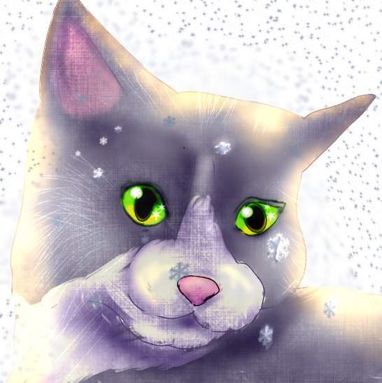 My cat ^^ - ibisPaint