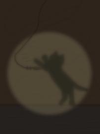 Cats shadow