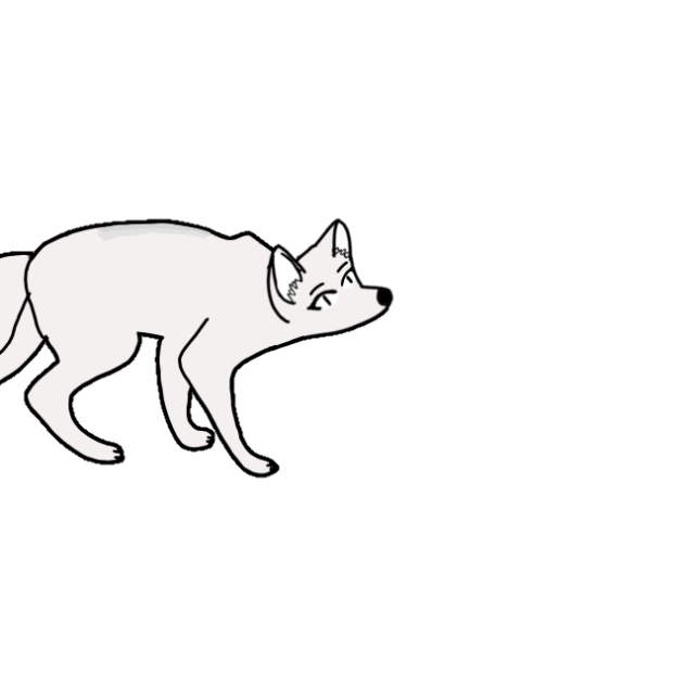 Arctic fox ig