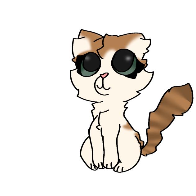 GOT A NEW KITTY!!!