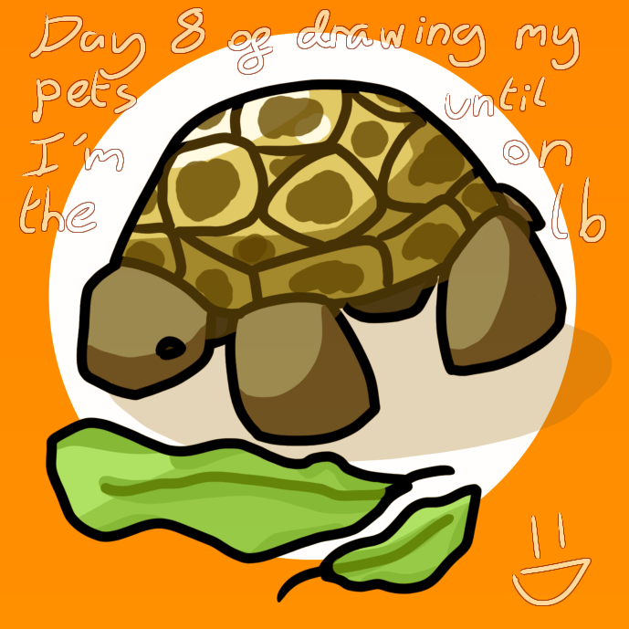 Day 8 of drawing my pets! - ibisPaint