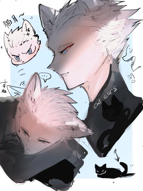猫耳