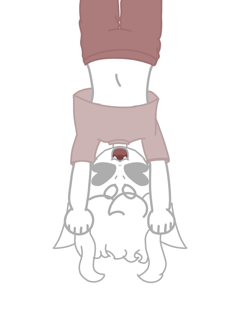 Shiro's hanging upside down lol - ibisPaint