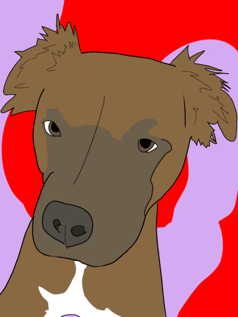 I drew my dog