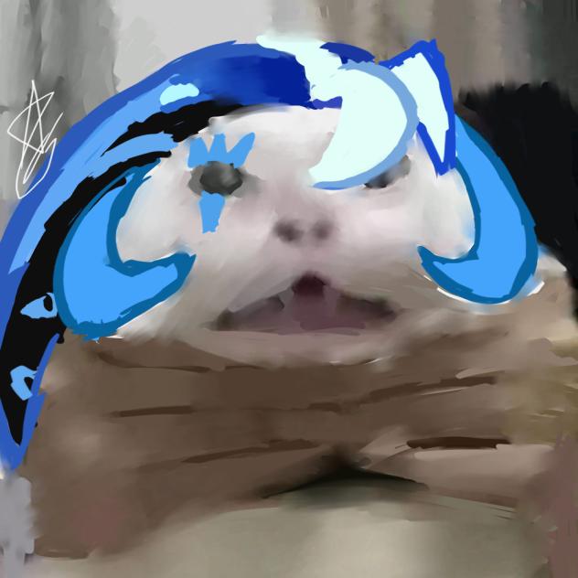 shadow milk cat