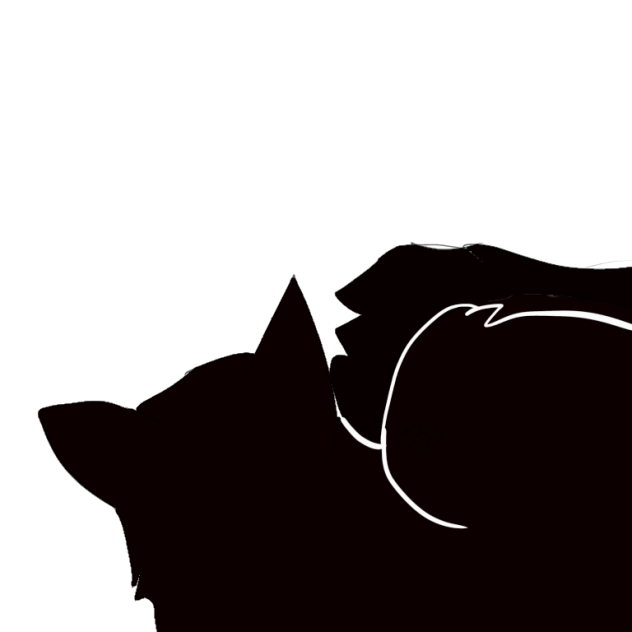 Lucıe the cat