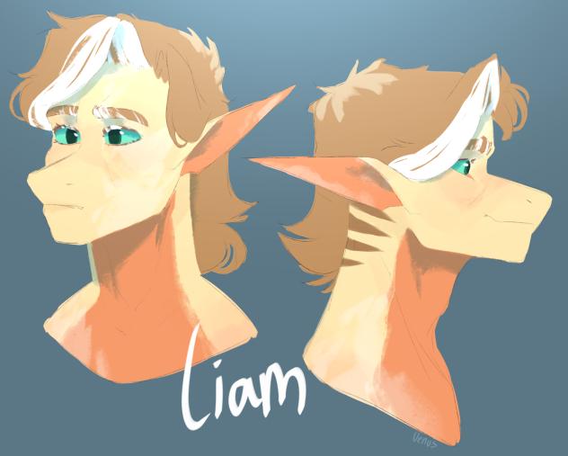 Liam-Face ref