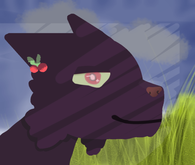HollyLeaf (Warriors)