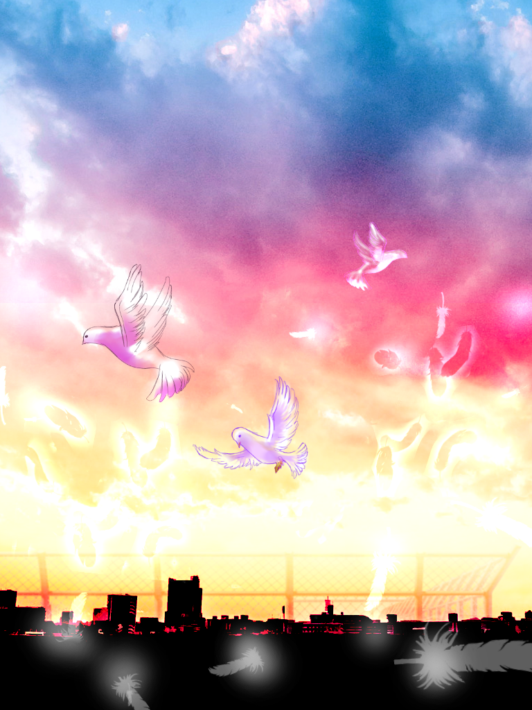 鳥背景 夕暮れ Ibispaint