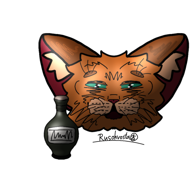 пяный кот 🤣