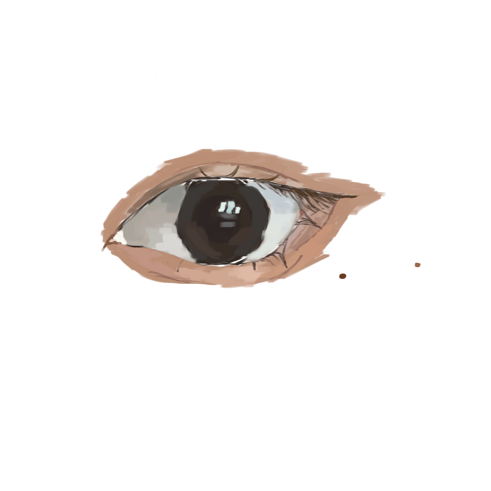 random ass eye - ibisPaint