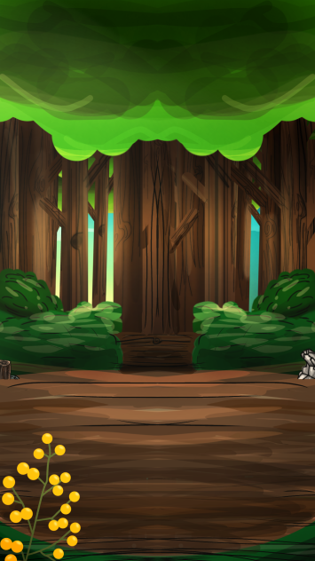 inside forest