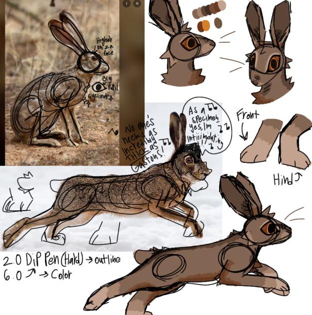 Rabbit Sketches - ibisPaint