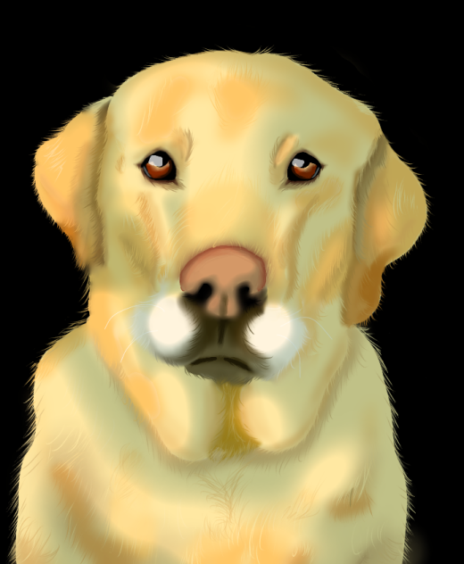 doggo 🐶