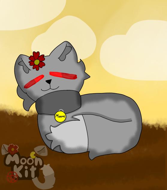 Moony but as a Cat