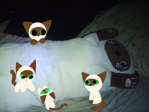 4 little kittens, in the real life