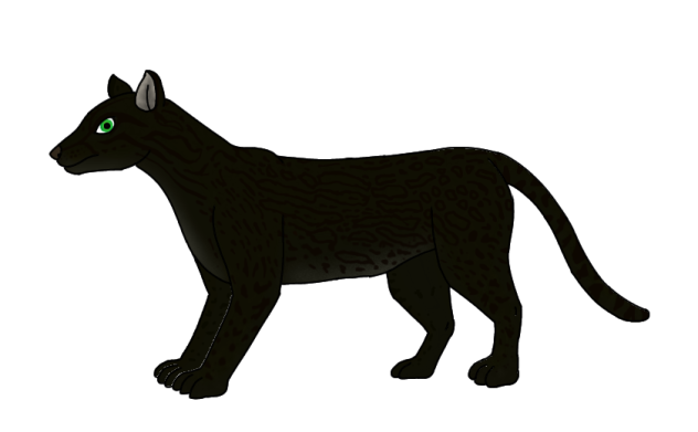 Black Ocelot