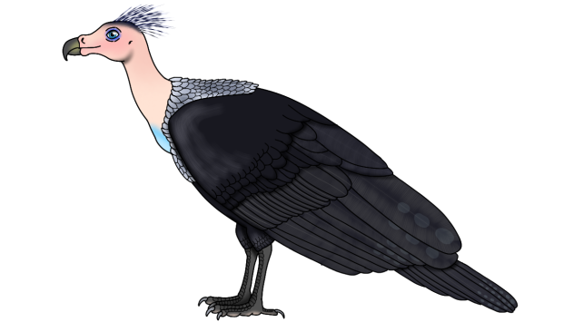 Thunderbird (2023) render