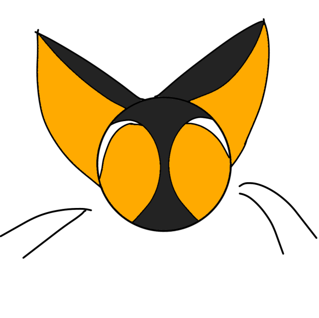Kat kot