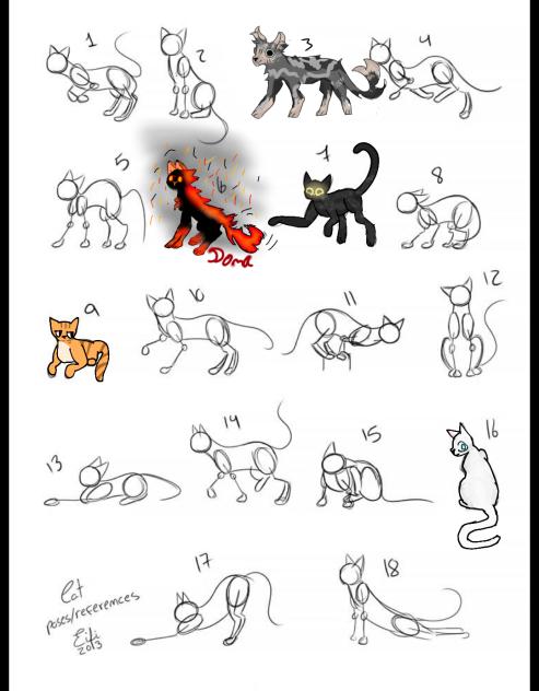 Cat collab