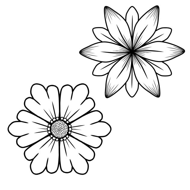 Flowers ♡♡