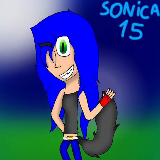 para sonica 15 - ibisPaint