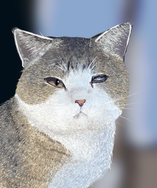 めっきゃ