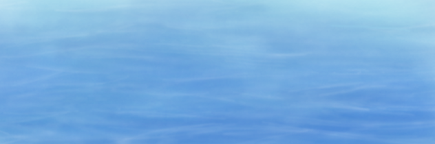 水面もどき