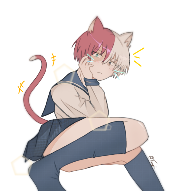 Sailor Kitty Shoto 🐱
