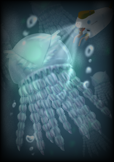 新発見