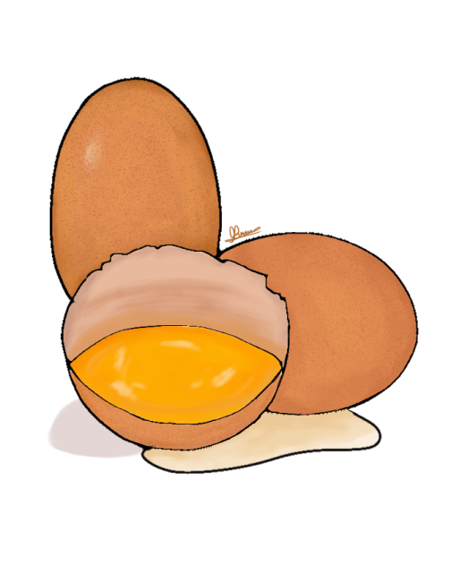 ☆彡彡 🍳 🥚🍳ミミ☆